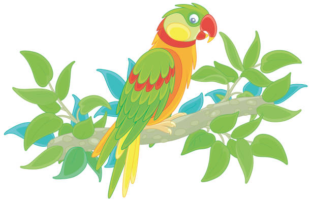 ilustrações, clipart, desenhos animados e ícones de papagaio colorido engraçado em uma selva tropical - parrot multi colored bird perching