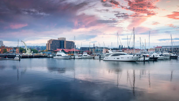 hobart tasmania victoria dock waterfront zachód słońca twilight panorama australia - derwent river zdjęcia i obrazy z banku zdjęć