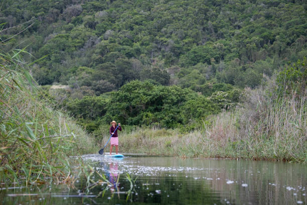 Woman stand up paddle boarding on a pristine river