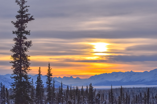 Christmas Day in Interior Alaska was a masterpiece of color. Looking out over the vast expanse one could not help but be in awe at the beauty that played out on this special morning. P