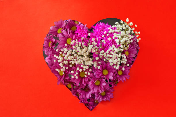 istock Chrysanthemum bouquet for Valentines Day on red background 1295209504
