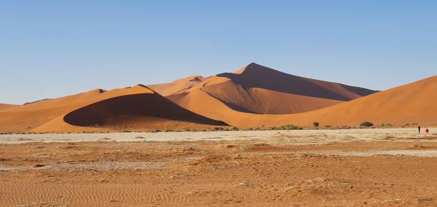 istock Orange dunes in the desert 1295213908