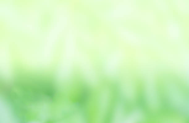 istock abstract green background ,beautiful green for background 1295216846