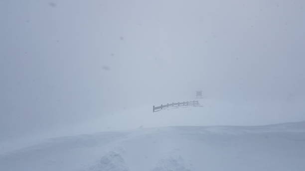 istock Foggy and snowy landscape 1295218672