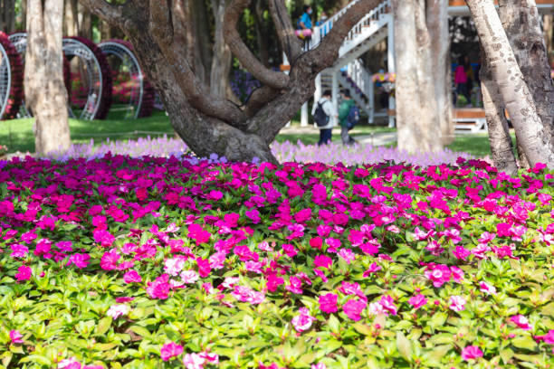 istock Beautiful spring multicolored flowers in the garden under big trees 1295226140