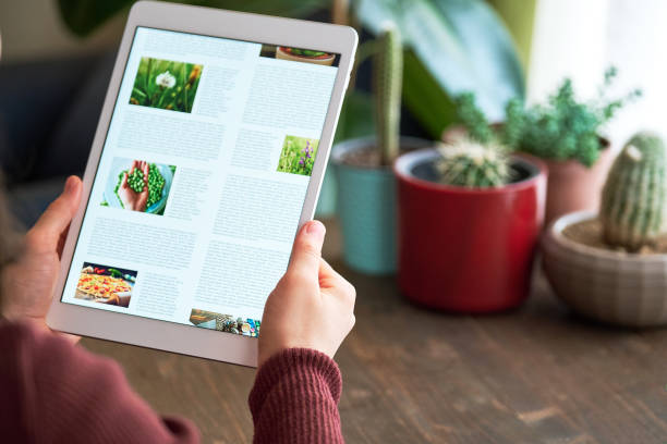 istock Woman using digital tablet at home 1295228786