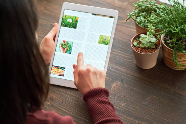 istock Woman using digital tablet at home 1295228811