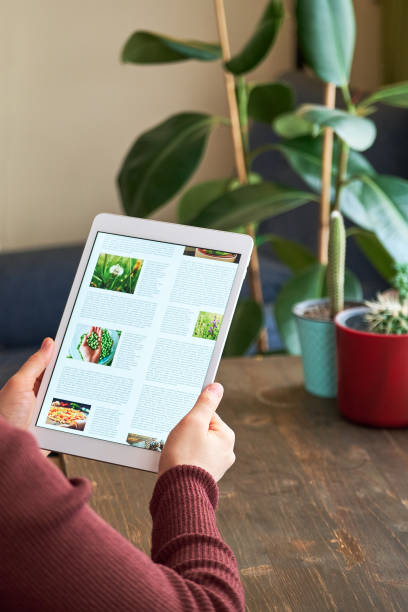 istock Woman using digital tablet at home 1295228819