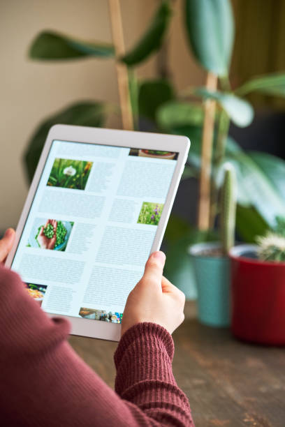 istock Woman using digital tablet at home 1295228866