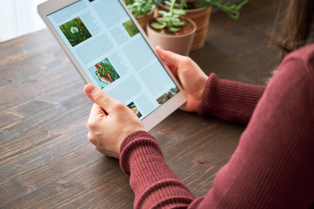 istock Woman using digital tablet at home 1295228872
