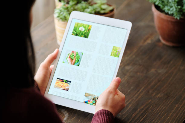 istock Woman using digital tablet at home 1295228978