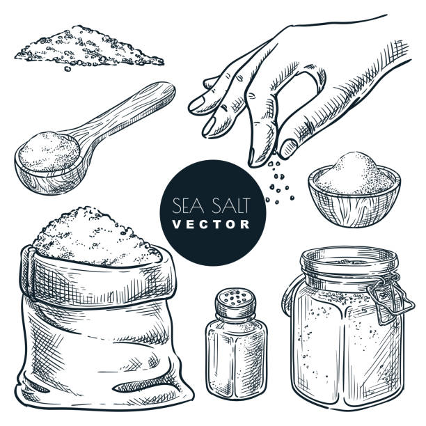 Sea salt in sack and salt shaker. Vector sketch illustration isolated on white background. Natural ingredient, seasoning spice. Hand drawn design elements