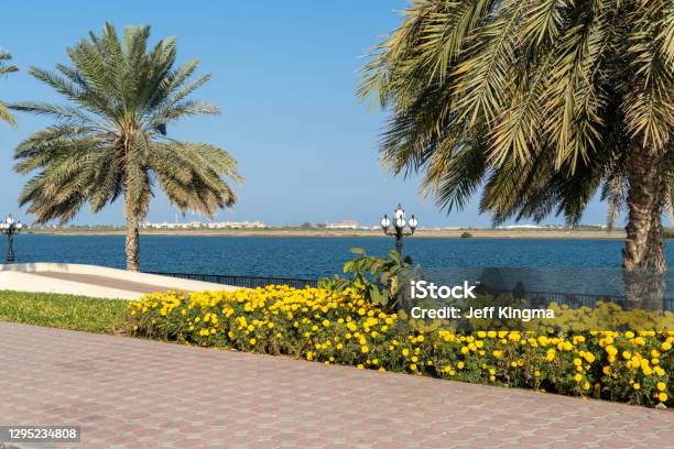 Kalba Corniche In Sharjah United Arab Emirates On A Beautiful Day Walking Along The Gulf Of Oman Near The City With Beautiful Yellow Flowers Stock Photo - Download Image Now