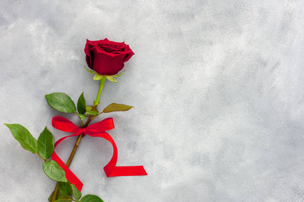 istock Valentine's Day. Red rose with a ribbon 1295236327