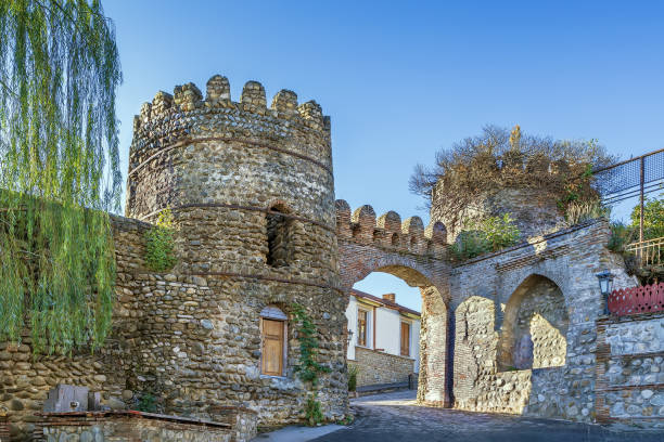 istock Gate in wall, Signagi, Georgia 1295236583