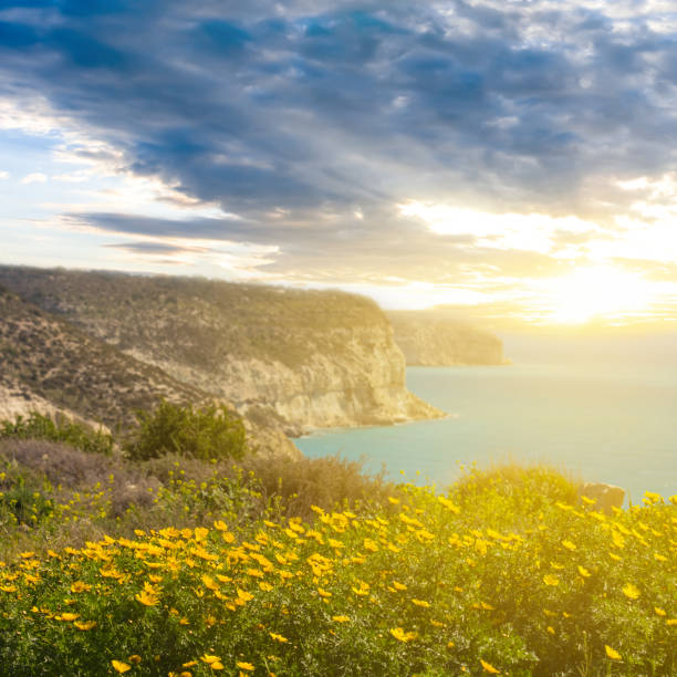 istock rocky sea  bay at the sunset 1295236886