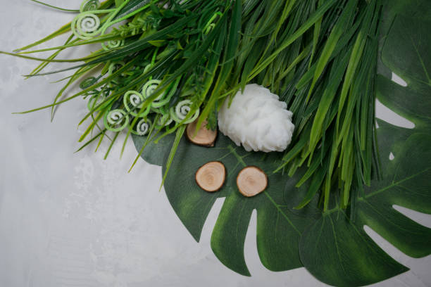 istock White cone, candle, with green leaves around 1295238922