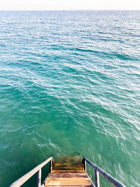 istock Metal staircase with handrail to the sea 1295242563