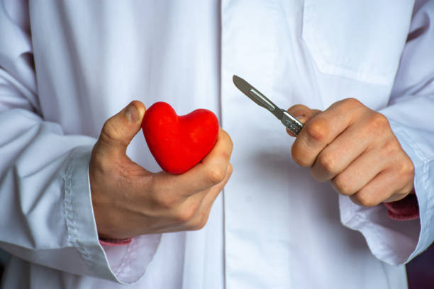 herzchirurgie oder herzchirurgie (kardiochirurgie). arzt chirurg hält skalpell in der hand und schneiden rote herzform auf weißem hintergrund. konzept für chirurgische operationen am herzen bei erwachsenen und kindern - endokarditis stock-fotos und bilder