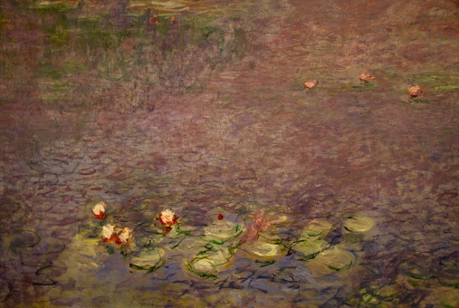 Pond with lily pads and trees casted in the water