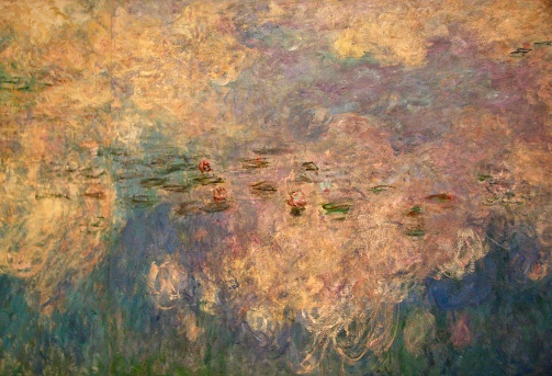 A cluster of water lilies with white flowers