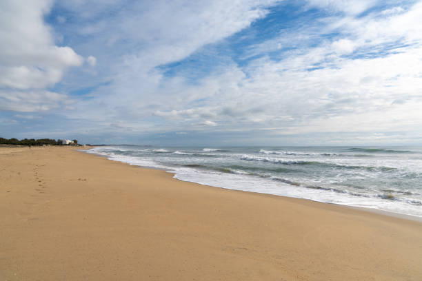 istock beach and lagoon at Isla Cristina in Andalusia 1295250071