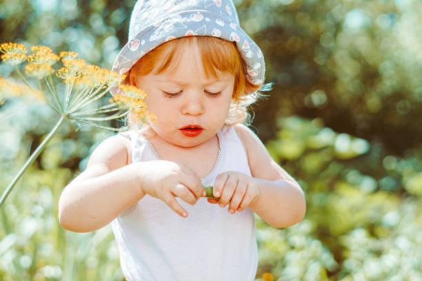 istock child in the garden with berries 1295251085