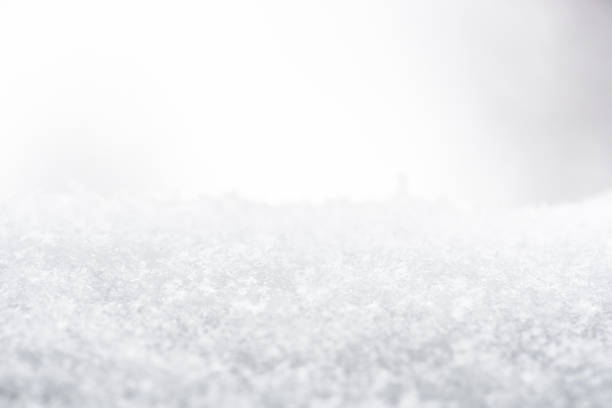 istock Winter background with snowflakes, close up 1295251332