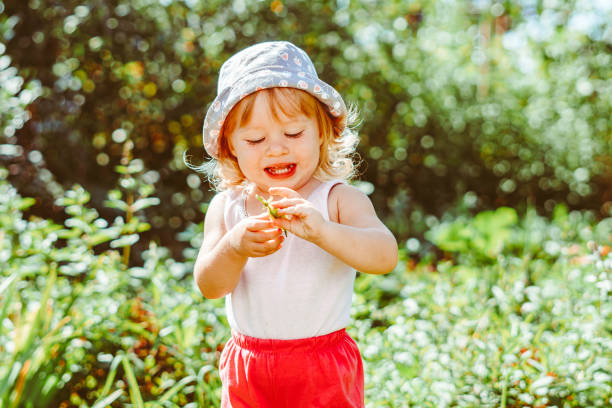 istock child in the garden with berries 1295253353