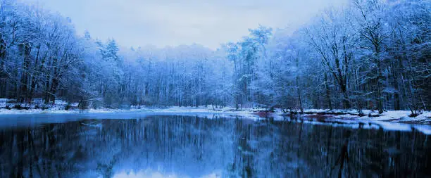 A natural winter forest setting where trees are reflected in the frozen lake under a snowy sky.