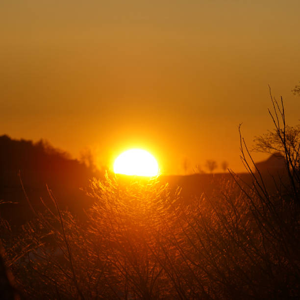 istock Winter sunset in Norway. 1295254282