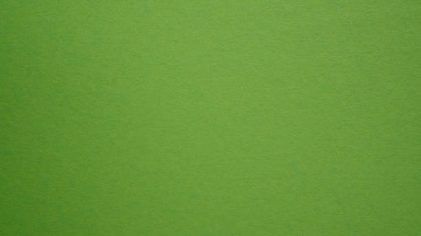 istock Green color wall texture background. Forest color texture backdrop design. Olive, moss, mint, fern or tea backdrop 1295255288