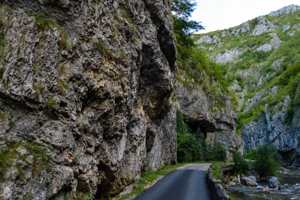 Road passing through rocky eroded terrain, surrounded by rocks and lush vegetation on the banks, Sohodol Gorges(Cheile Sohodolului), Valcan mountains, in Gorj county, Romania