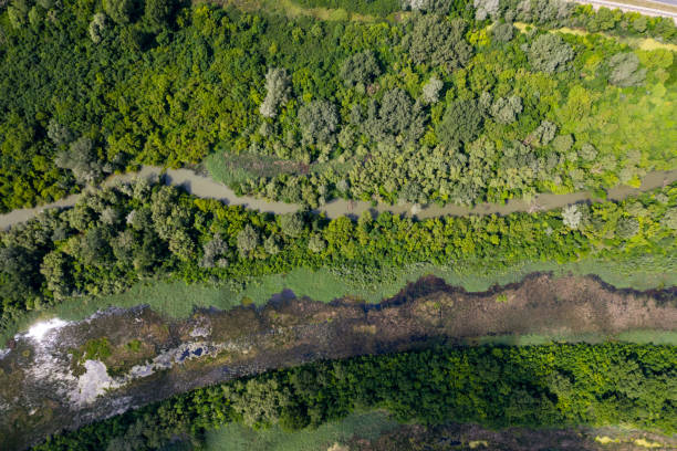 istock aerial view marsh in hungary 1295262328