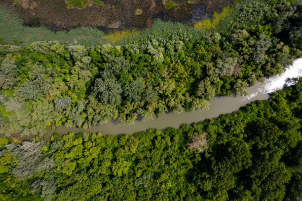 istock aerial view marsh in hungary 1295262338