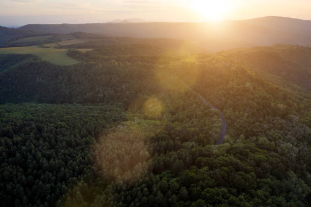 istock Aerial view landscape at sunrise forest 1295262351