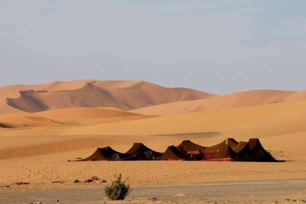 istock Bedouin camp in desert 1295267833