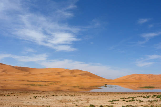 istock seasonal lake in Sahara Desert 1295268883