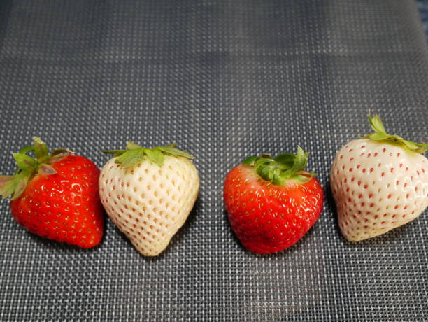 istock White strawberries and red strawberries 1295268918
