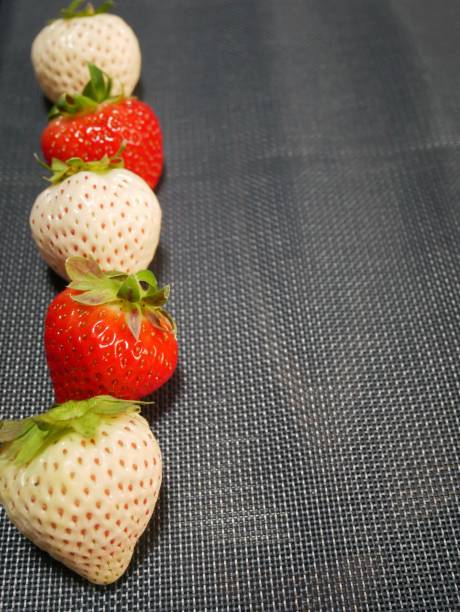 istock White strawberries and red strawberries 1295268931