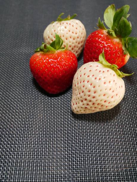 istock White strawberries and red strawberries 1295268940