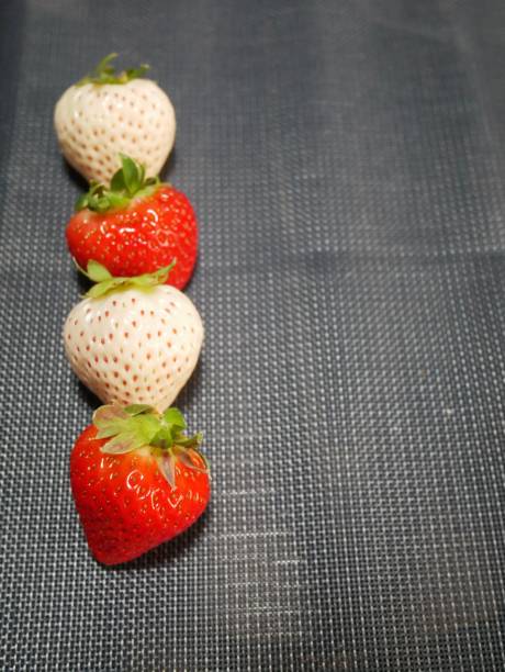 istock White strawberries and red strawberries 1295268948