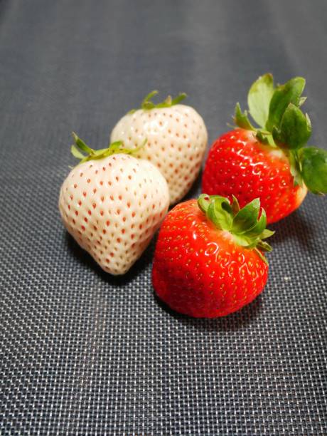 istock White strawberries and red strawberries 1295268976