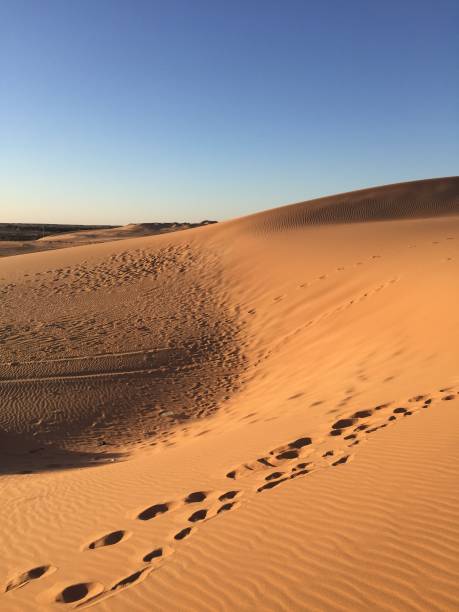 istock Ouargla Algere 1295272262