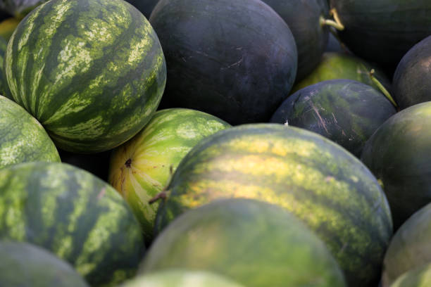 istock striped large watermelons for sale 1295272506