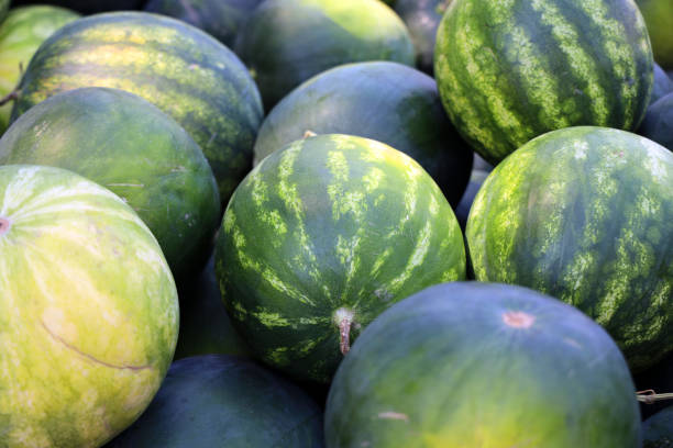 istock striped large watermelons for sale 1295272595