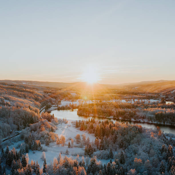 istock Winter snowy landscape nature from above drone image 1295288859
