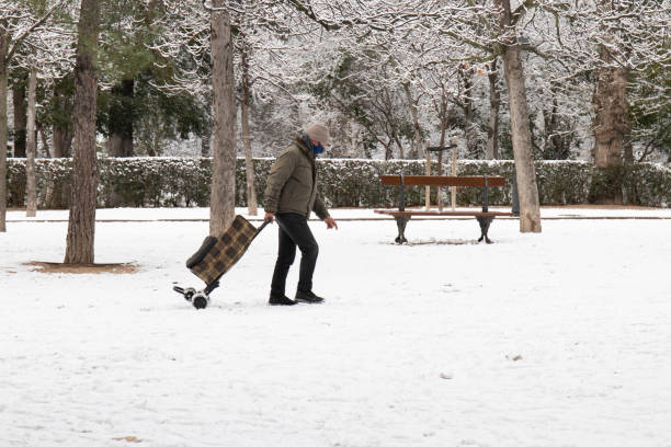 mann mit einkaufswagen und gesichtsmaske spaziert durch den schneebedeckten retiro-park - snow park road cold stock-fotos und bilder