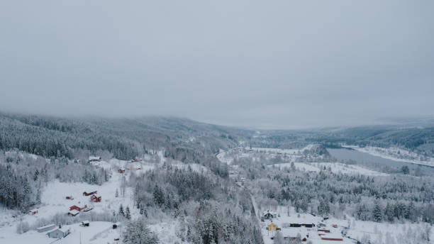 istock Winter snowy landscape nature from above drone image 1295289664