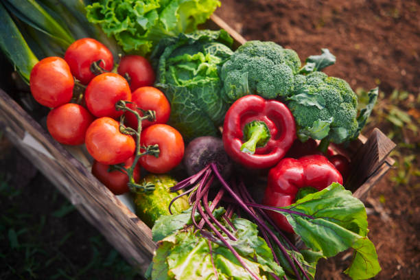 istock Diverse organic fresh vegetables on a wooden crate 1295289818